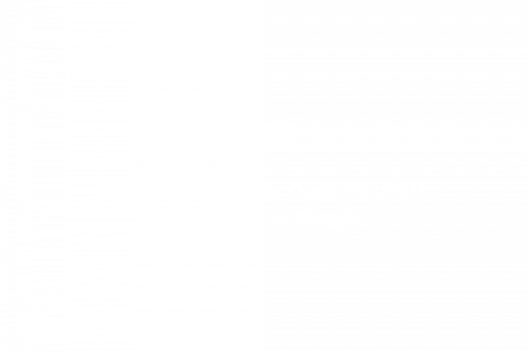 Dr-Anna-Schattauer-Zahnarzt-Golling-Salzburg-Praxis-ÖGI-01.png